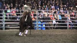 Steve Rother and Professor at The Mane Event Horse Expo [upl. by Ahsiuqal]