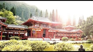 Japanische Entspannungsmusik mit Naturgeräuschen ◄◄◄  Japanische Musik [upl. by Dana840]