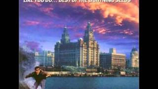 The Lightning seeds Marvellous [upl. by Ahsirat]