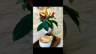 බැරිකම හොදට දන්නවා 😊❤️☕ shortvideos godrinks shortvideos viralshorts [upl. by Culosio]