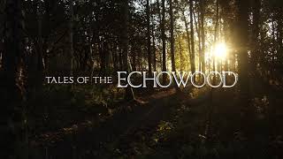 Chasing Stars  Tales of the Echowood Main Theme [upl. by Bowles853]