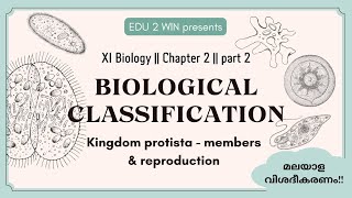 Biological Classification  Class 11 Biology  Chapter 2 Part 2 [upl. by Clari]