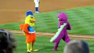 Famous Chicken battles Barney in a danceoff [upl. by Ciryl]