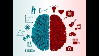 Hemisferio derecho e izquierdo del Cerebro [upl. by Idnor]