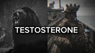 TESTOSTERONE Motivation  Powerful motivational compilation video [upl. by Purvis383]