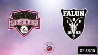 HIGHLIGHTS  SSL HERR  Nykvarn vs IBF Falun  29 dec [upl. by Nnaillij]