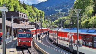 Zentralbahn Luzern Interlaken  Verstärker HGe 44 Pendelzüge auf der Brünig Bahn Linie 2024 [upl. by Nikki]