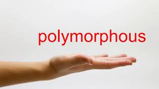 How to Pronounce polymorphous  American English [upl. by Spancake]