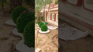 landscap gardenlandscaping plants garden landscapbackyard gardendesign 03219471523 [upl. by Aehcsrop]