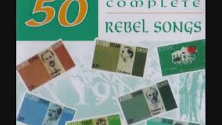 50 Complete Best Irish Rebel Songs  The Fighting Men From Crossmaglen  Full Album [upl. by Nnaitsirk]