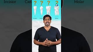 பல் இல்லாத பொழுது கிளிப் செய்யலாமா Ortho treatment and missing teeth DrKarthikeyan [upl. by Akirdnwahs]