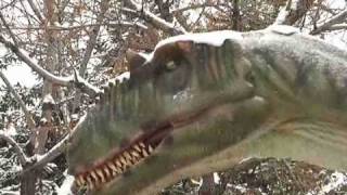 Calgary Zoo Dinosaurs Alive [upl. by Akamahs]