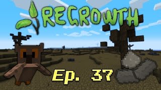 Regrowth Ep 37  Bagoly Béka Titánium D [upl. by Gustin]