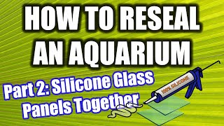 Understanding Aquarium Silicone How to choose the right one for your project [upl. by Bibeau442]