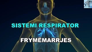 Sistemi Respirator apo i Frymëmarrjes  E Ripërpunuar [upl. by Aneehsit]