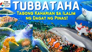 Magagandang isda sa TUBBATAHA REEF  Best Diving Spot para FISH LOVERS [upl. by Ninel]