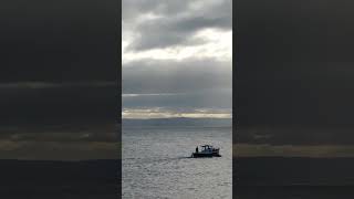 Boat at Anstruther Harbour Anstruther scotland coast harbour boat shorts visitscotland [upl. by Eirameinna573]