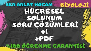 HÜCRESEL SOLUNUM SORU ÇÖZÜMLERİ 1  FERMANTASYONOKSİJENLİ SOLUNUM SORU ÇÖZÜMLERİ  PDF ✅ [upl. by Keever]