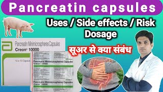 Pancreatin capsules  Creon capsules  Pancreatin tablet uses in hindi [upl. by Aguayo]