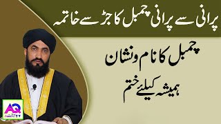 Chambal Ka 100 Ilaj 1 Ayat Se  Psoriasis Ka Ilaj In Quran  Allama Haider Alvi  AQ TV [upl. by Eadrahc]