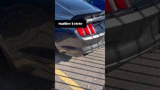 Muffler Delete vs Resonator and Muffler Delete  Mustang GT [upl. by Leahcimnoj]