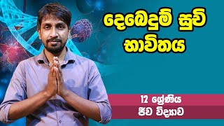 ජීව විද්‍යාව  දෙබෙදුම් සුචි භාවිතය  12 ශ්‍රේණිය  BIO  Grade 12 Epi 06 [upl. by Einyaj]