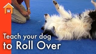 Teach Your Dog to Roll Over [upl. by Jerroll]