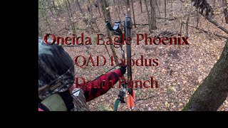 QAD Exodus Death Punch  Bucks getting fired up  The rut is about to turn on  October deer hunting [upl. by Annaehr]