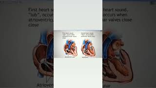 Lub Dub sound of heart ll S1 and S2 sound of heart heart nursingscience [upl. by Trudi]