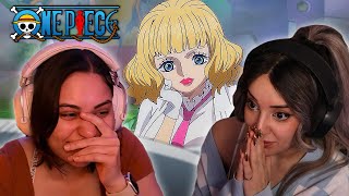 LUFFY VS LUCCI INSANITY  One Piece Episode 1102 Live React [upl. by Krefetz944]