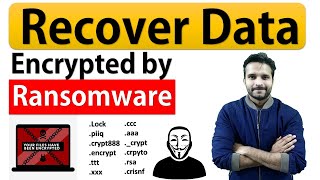 How to recover data encrypted by Ransomware How to decrypt encrypted files [upl. by Anev]