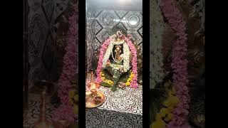 god song tamilpillaiyar songshortsசங்கடஹரசதுர்த்தி [upl. by Turoff]