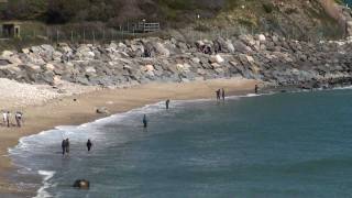 The Fall Run Montauk Fishing Striped Bass Albies and Bluefish [upl. by Linskey]