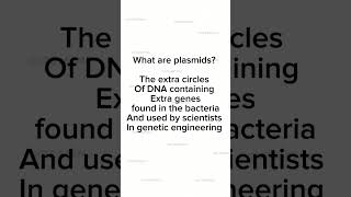 What are plasmids plasmids  biology [upl. by Oyek]