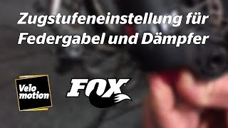 MTB Fahrwerk EINSTELLEN  FOX DHX2 UMBAU besser als ein Luftdämpfer [upl. by Merissa]