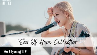 Playlist Rosé 로제  Sea Of Hope Collection 바라던 바다 모음 [upl. by Alissa802]