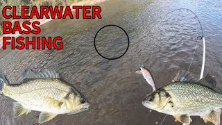 GORGE COUNTRY BASS FISHING  Insane Clearwater Action [upl. by Seira]