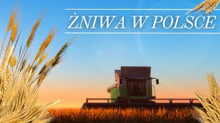 Żniwa w Polsce  Polskie Rolnictwo [upl. by Novyad721]