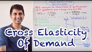 Y1 13 Cross Elasticity of Demand XED [upl. by Keiryt]