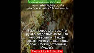 Коран Сура АльМаида  538  Чтение Корана с русским переводом  Quran Translation quran ٱلمائدة [upl. by Jorgan377]