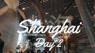 China Vlog  Day 2  Exploring shanghai 2024  Shanghai Natural History Museum  Travel Vlog [upl. by Gnolb]