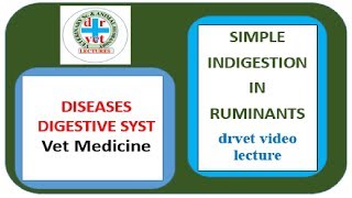 Simple indigestion in ruminants [upl. by Suriaj]