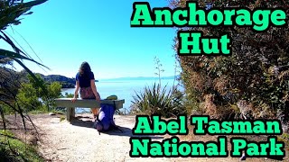 Anchorage Hut Overnighter  Abel Tasman National Park  New Zealand Adventures  Chilly Bin Hikes [upl. by Juback151]