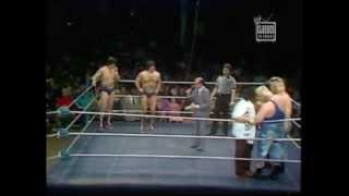 Garea and Martel vs the Moondogs 1981 WWF Tag Titles [upl. by Jamima]