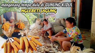 kampung jawa gunung kidulsuasana panen di desamengenang jaman dulu nglebeti jagung [upl. by Neo]