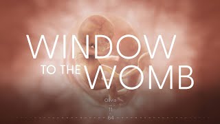 Amazing Timelapse of EVERY SINGLE DAY of a Child’s Development in the Womb  Window to the Womb [upl. by Thinia]