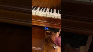 Knabe Baby Grand Piano with QRS System [upl. by Fita]