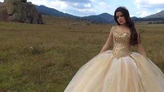 Beaded Strapless Quinceanera Dress by Ragazza Fashion Style B75375 [upl. by Cy]