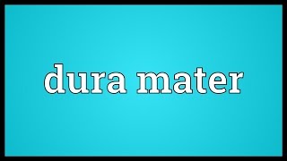 Dura mater Meaning [upl. by Nerrawed]