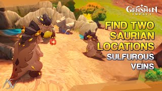 Find Two Saurian Locations Precious Chest  Strange Saurian Cart Key  Genshin Impact [upl. by Dewar]